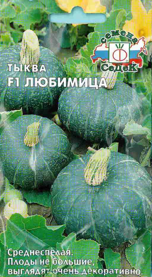 

Семена овощей СеДеК тыква Любимица 1 г