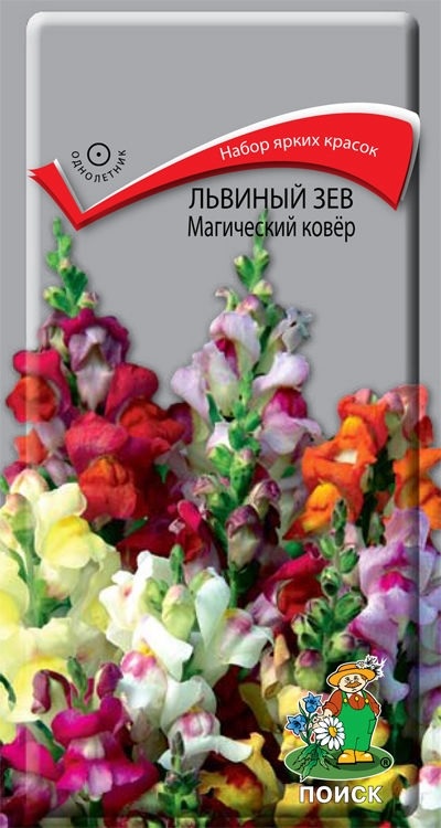 

Семена львиный зев Поиск Магтческий ковер 1 уп.