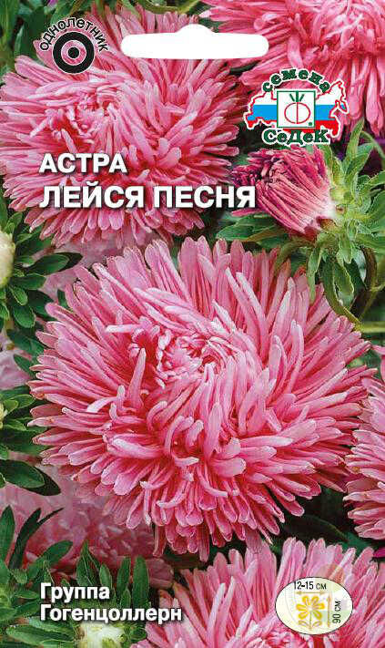 

Семена астра СеДеК Лейся песня 1 уп.