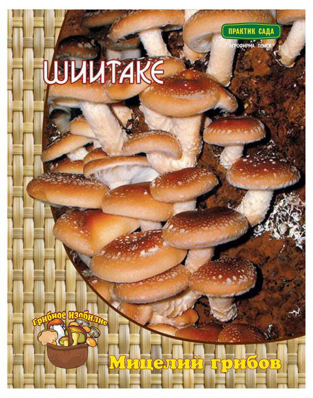 Мицелий грибов Поиск Шиитаке на древесной палочке 12 шт.