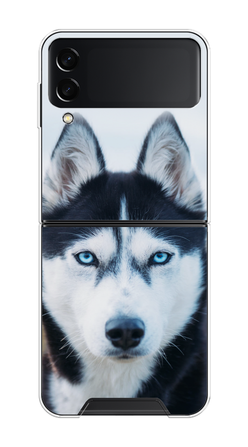 

Чехол на Samsung Galaxy Z Flip 3 "Хаски 2", Синий;белый, 2103750-1