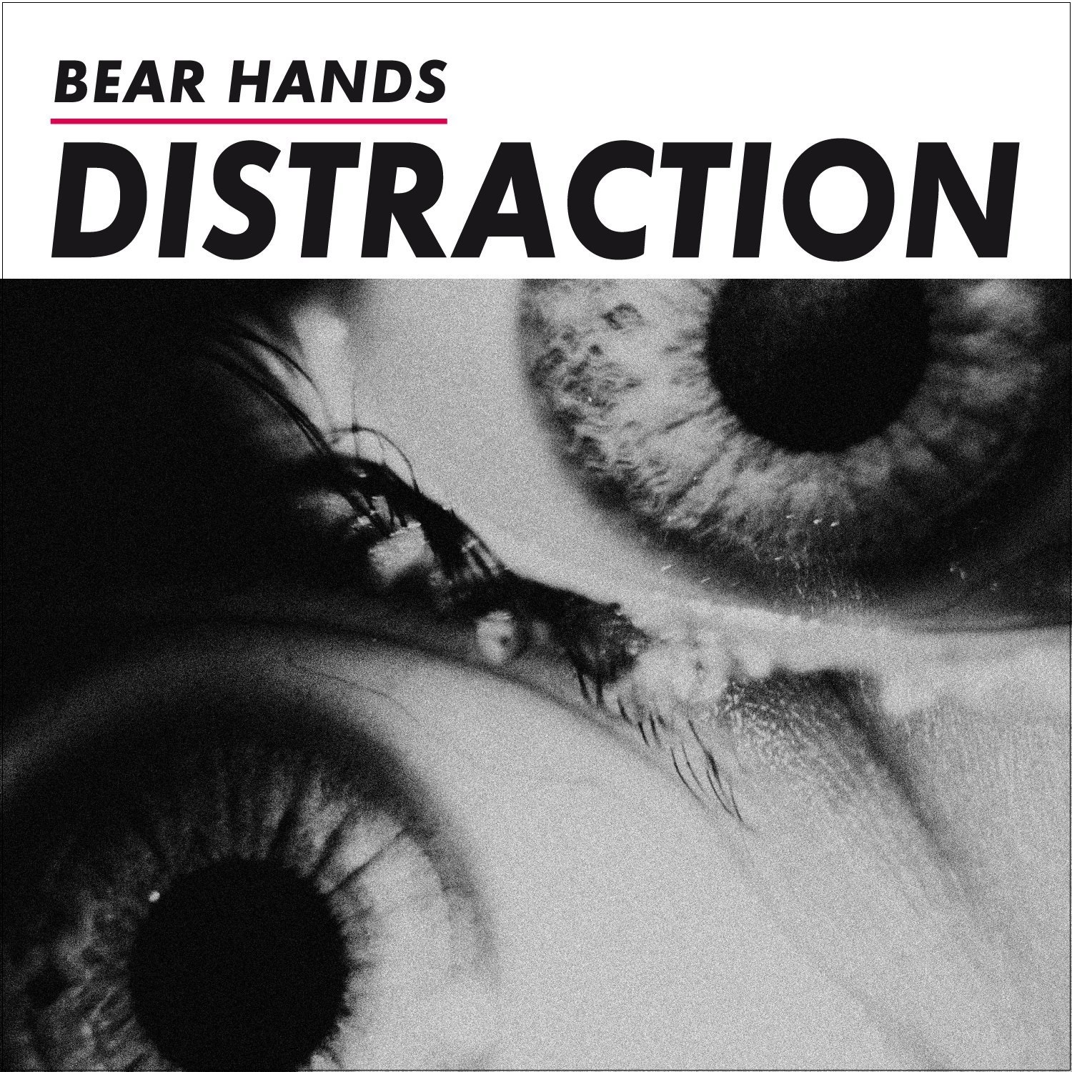 

Bear Hands Distraction