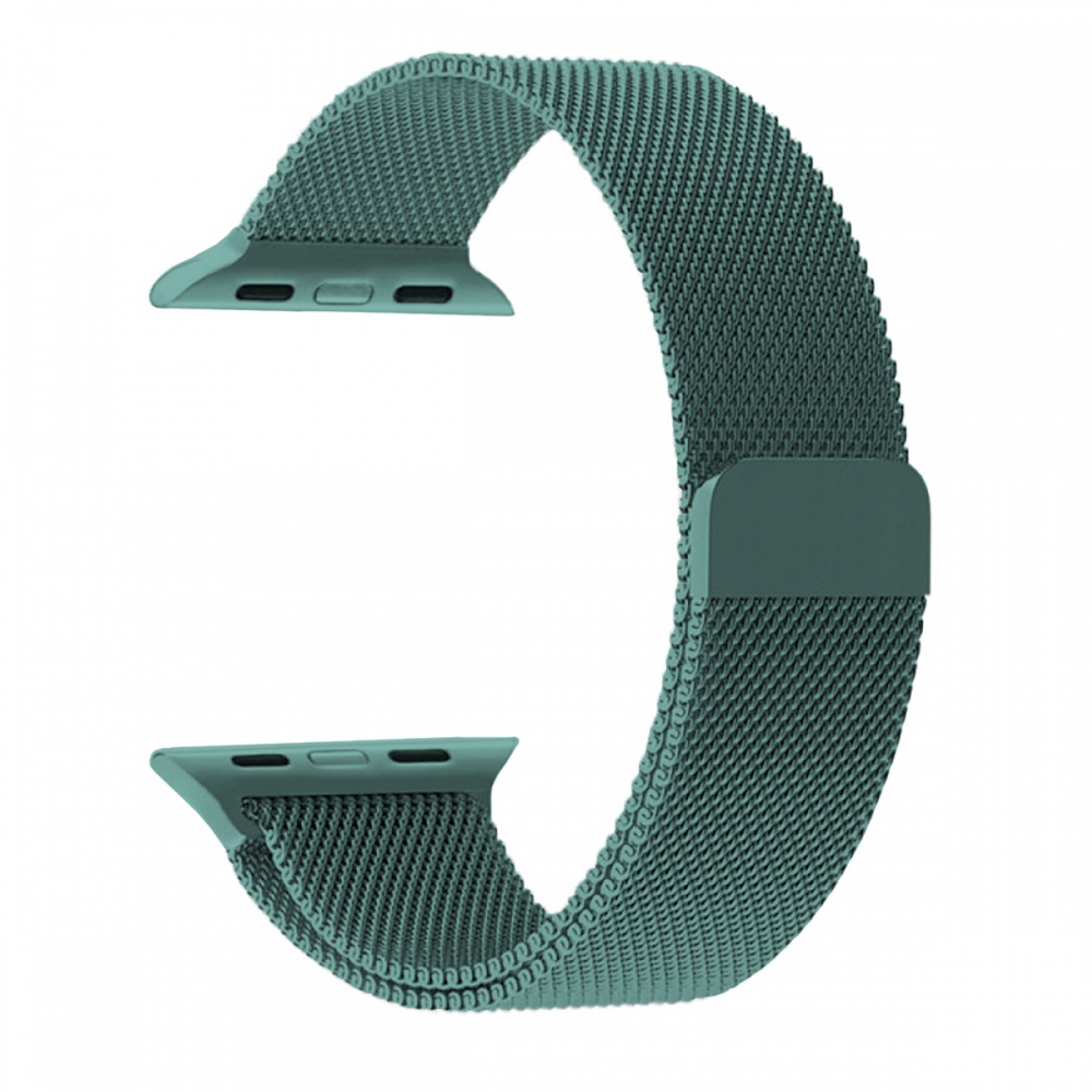

Ремешок Nuobi для Apple Watch 38/40 mm (Патиново-зеленый)