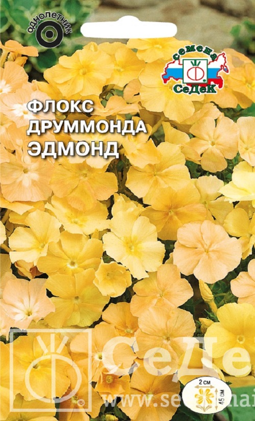 

Семена флокс СеДек Эдмонд 15017 1 уп.