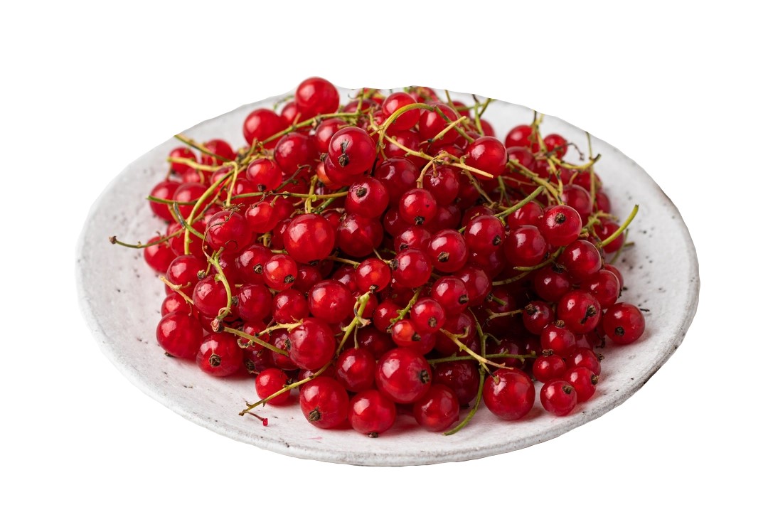 

Смородина ВкусВилл красная 500 г