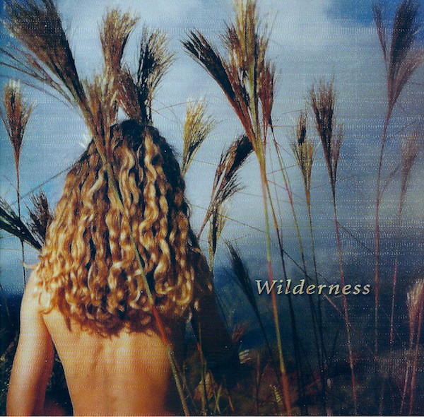 Sophie B. Hawkins - Wilderness (1 CD)