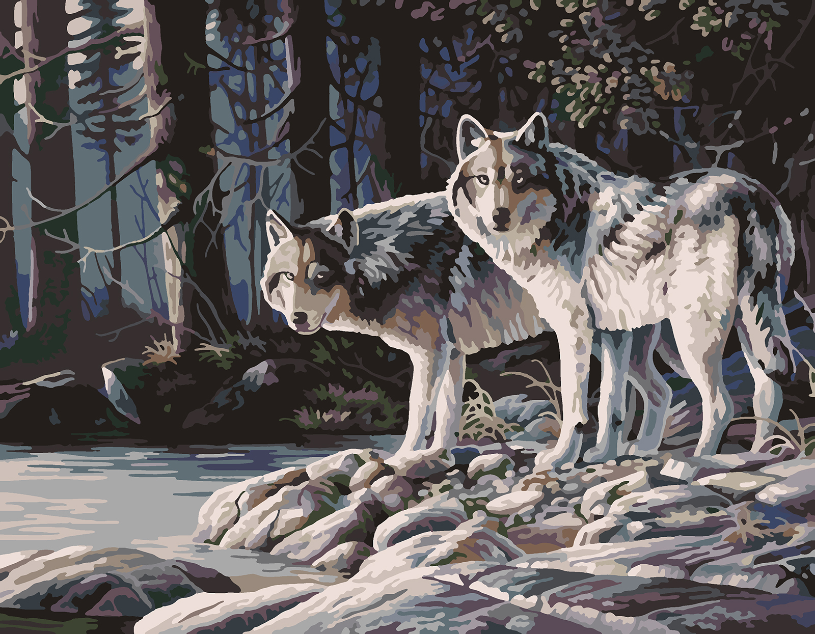 фото Картина по номерам красиво красим серые волки, 50 х 60 см