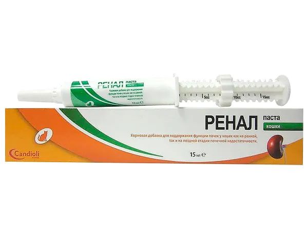 Ренал Candioli паста шприц 15 мл.