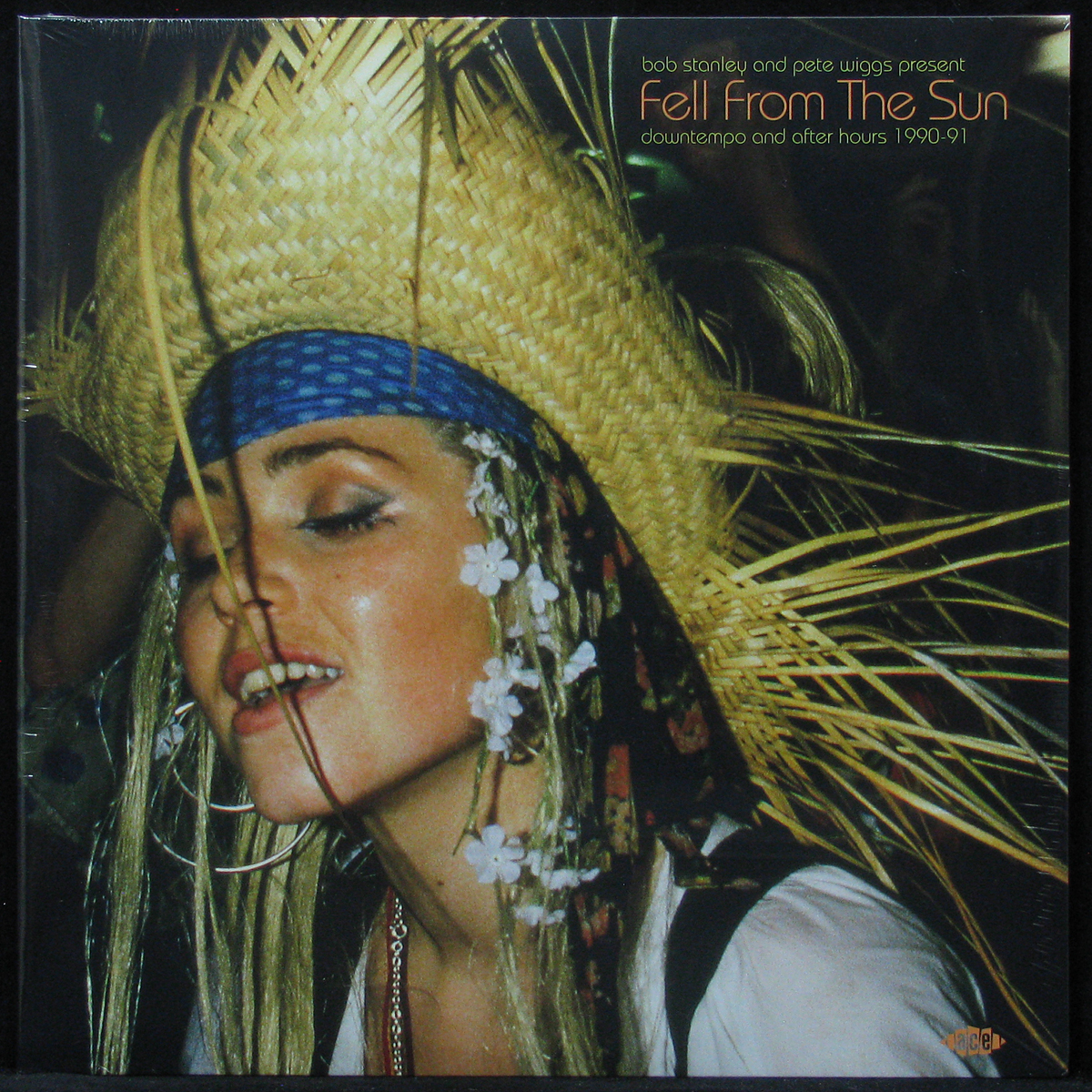 

Bob Stanley Pete Wiggs - Fell From The Sun (2LP)