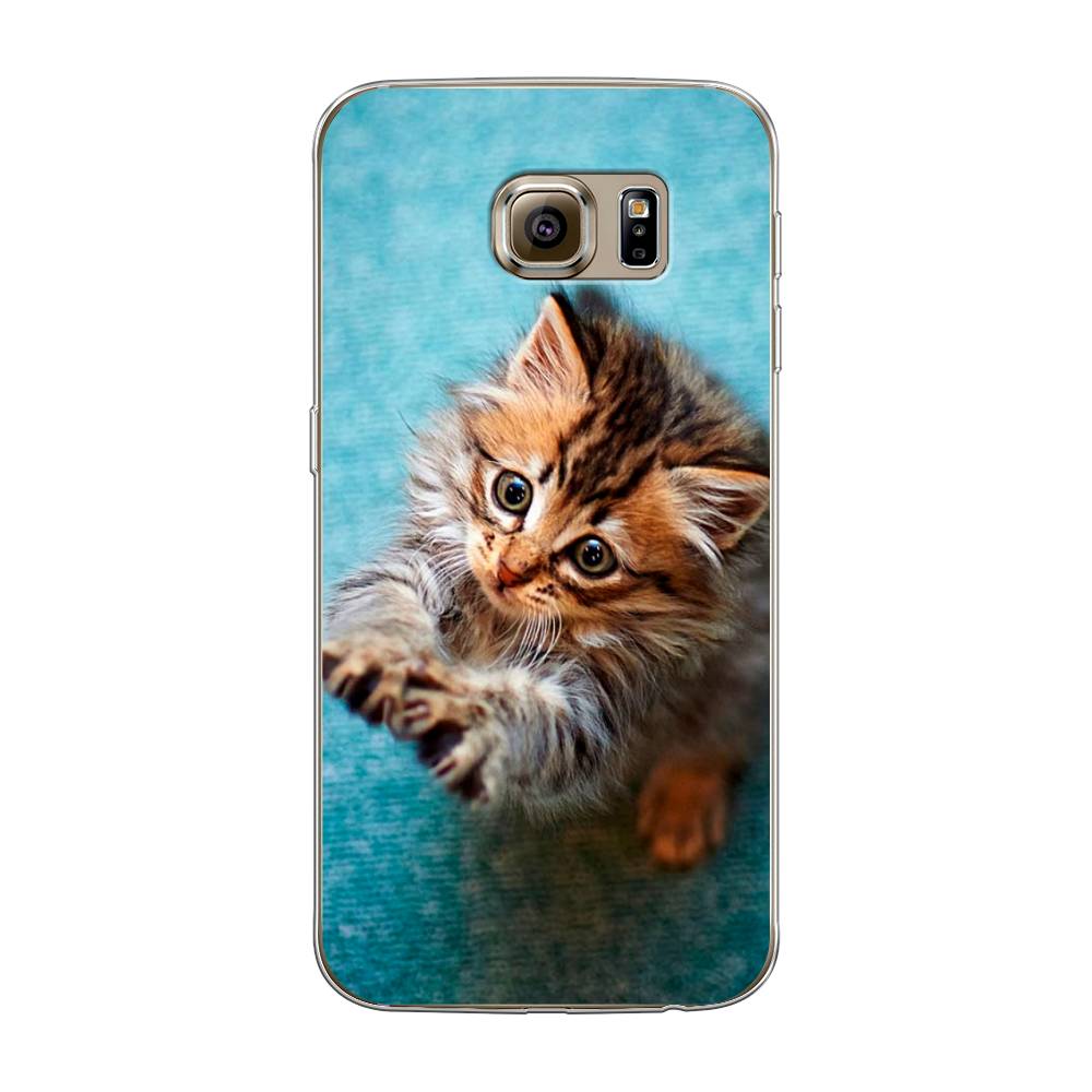 

Чехол Awog на Samsung Galaxy S6 "Котенок просит есть", Голубой;коричневый;белый, 24350-2