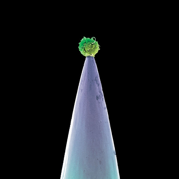 

Peter Gabriel: New Blood (1 CD)