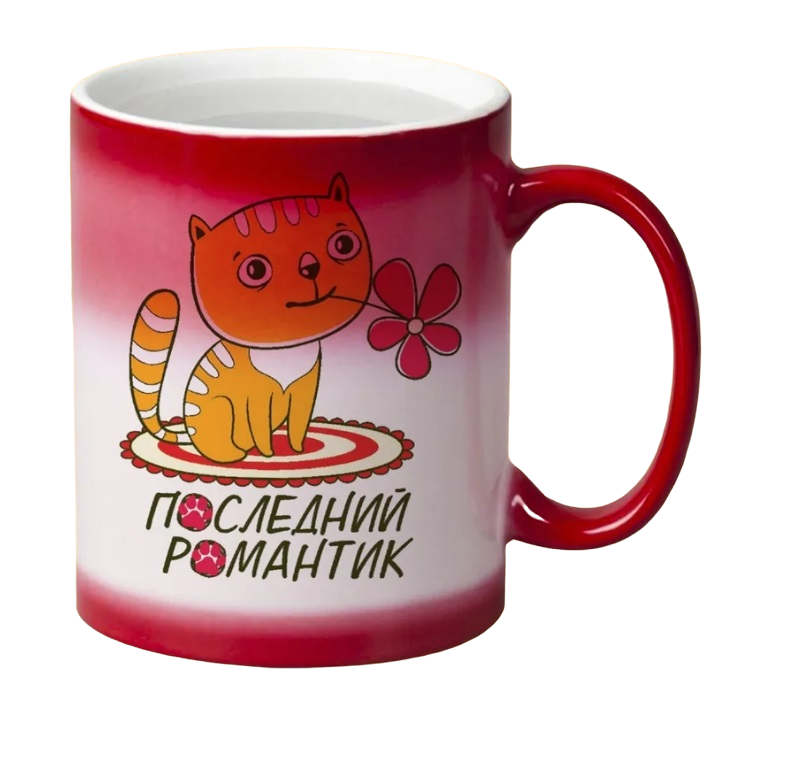 

Кружка CoolPodarok Последний романтик