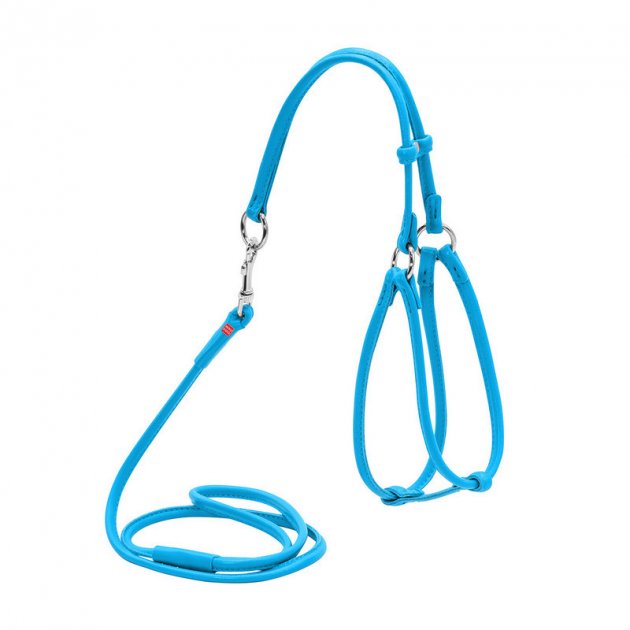 Шлейка для собак Collar Glamour №1, полиэстер, нейлон, голубой 6 мм 27-35см/22-35