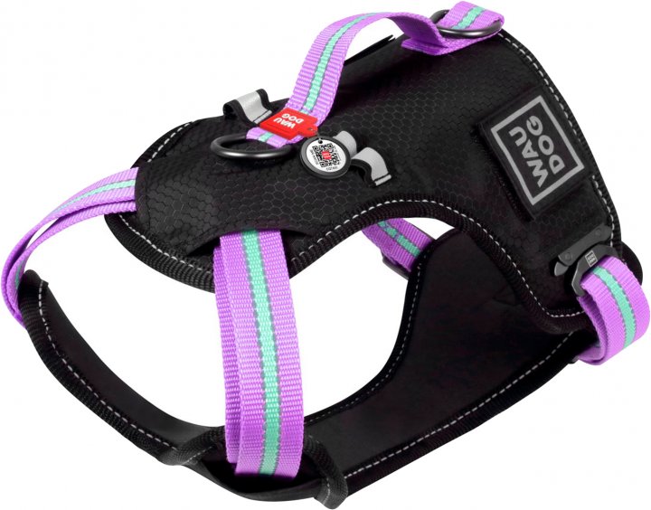 Шлейка для собак Collar Waudog Nylon, полиэстер, нейлон, металл, черный, фиолетовый M