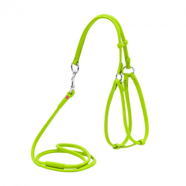 

Шлейка для собак Collar Glamour №1, полиэстер, нейлон, зеленый 6мм 27-35см/22-32см