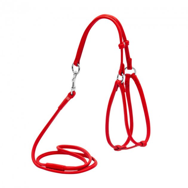 

Шлейка для собак Collar Glamour №1, полиэстер, нейлон, красный 6мм 27-35см/22-32см