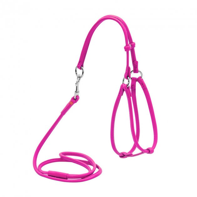 

Шлейка для собак Collar Glamour №1, полиэстер, нейлон, розовый 6мм 27-35см/22-32см