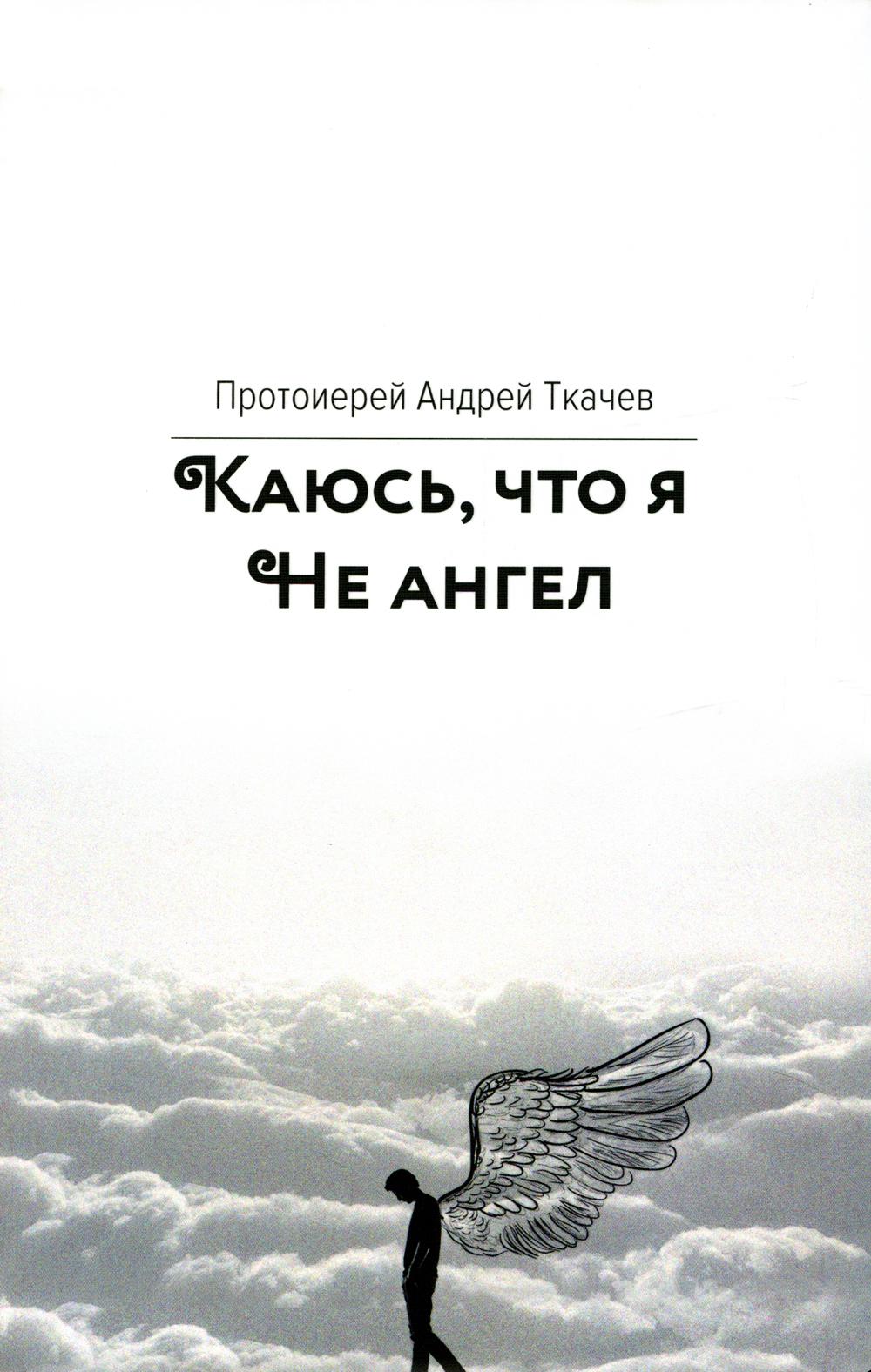 

Книга Каюсь, что я не ангел