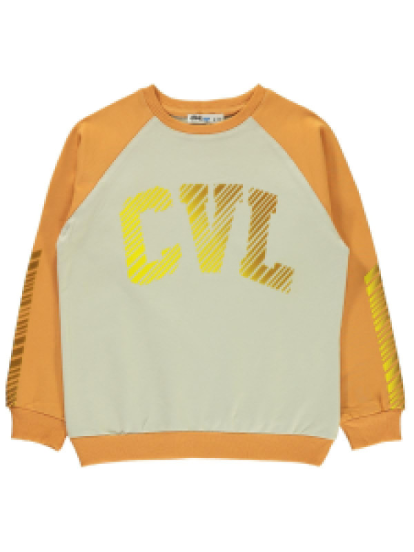 

Свитшот Civil 183308682Y21-1, 9-10 лет, оранжевый (доставка из-за рубежа), 183308682Y21