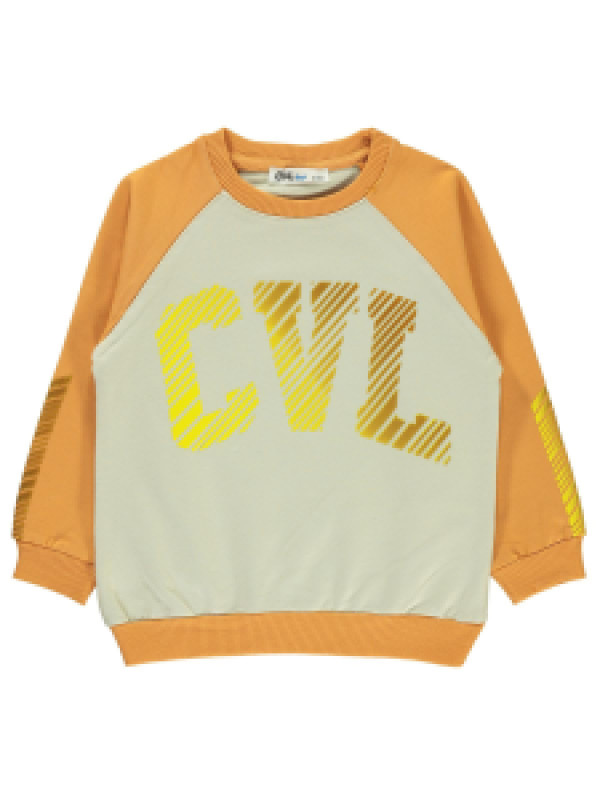 

Свитшот Civil 183308681Y21, 5-6 лет, оранжевый (доставка из-за рубежа), 183308681Y21