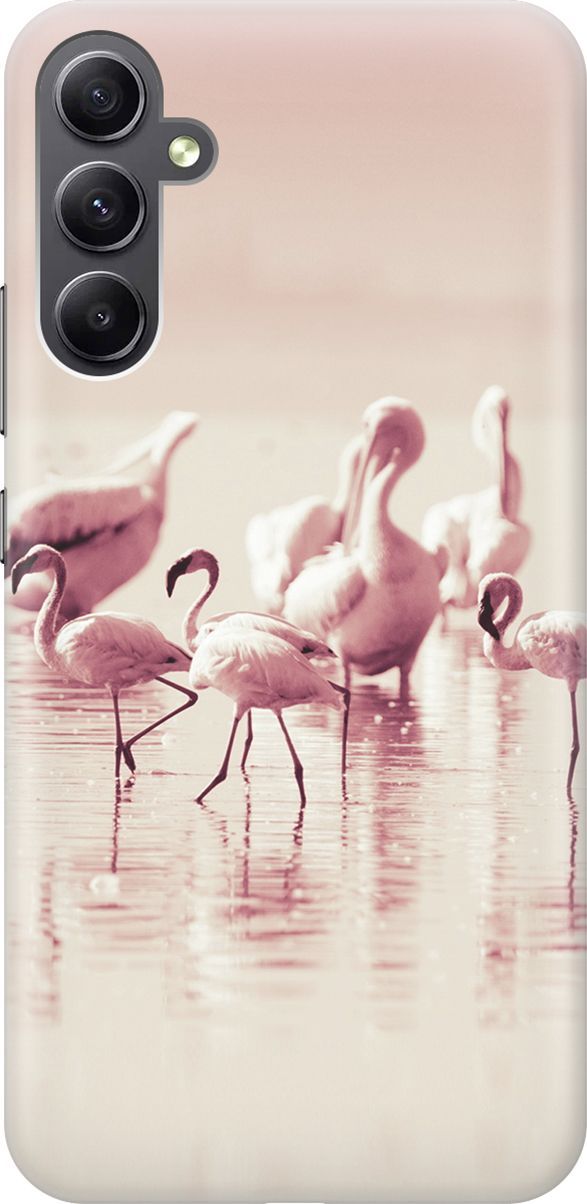 

Силиконовый чехол на Samsung Galaxy A34 5G "Розовые фламинго", Белый;розовый, 158713