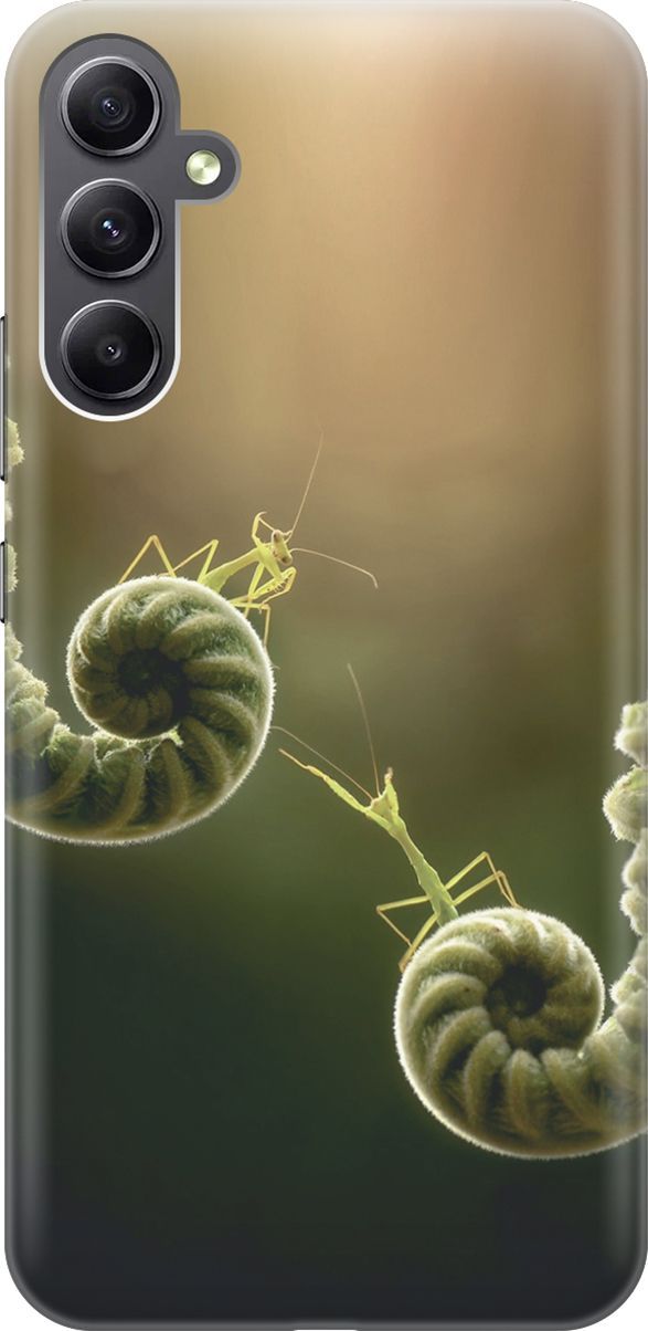

Силиконовый чехол на Samsung Galaxy A34 5G "Пара богомолов", Бежевый;зеленый, 158713