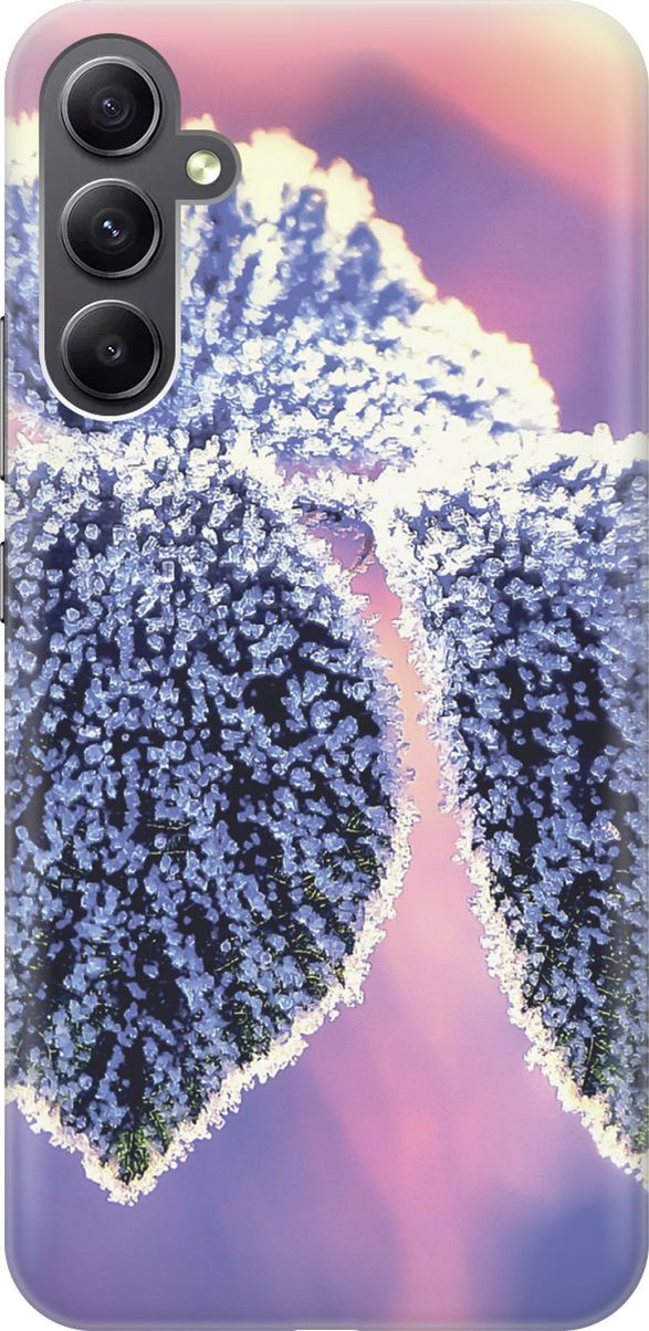 

Силиконовый чехол на Samsung Galaxy A34 5G "Замерзшие листики", Белый;фиолетовый, 158711
