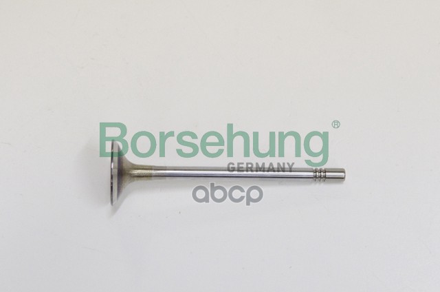 

Клапан впускной Borsehung b19021