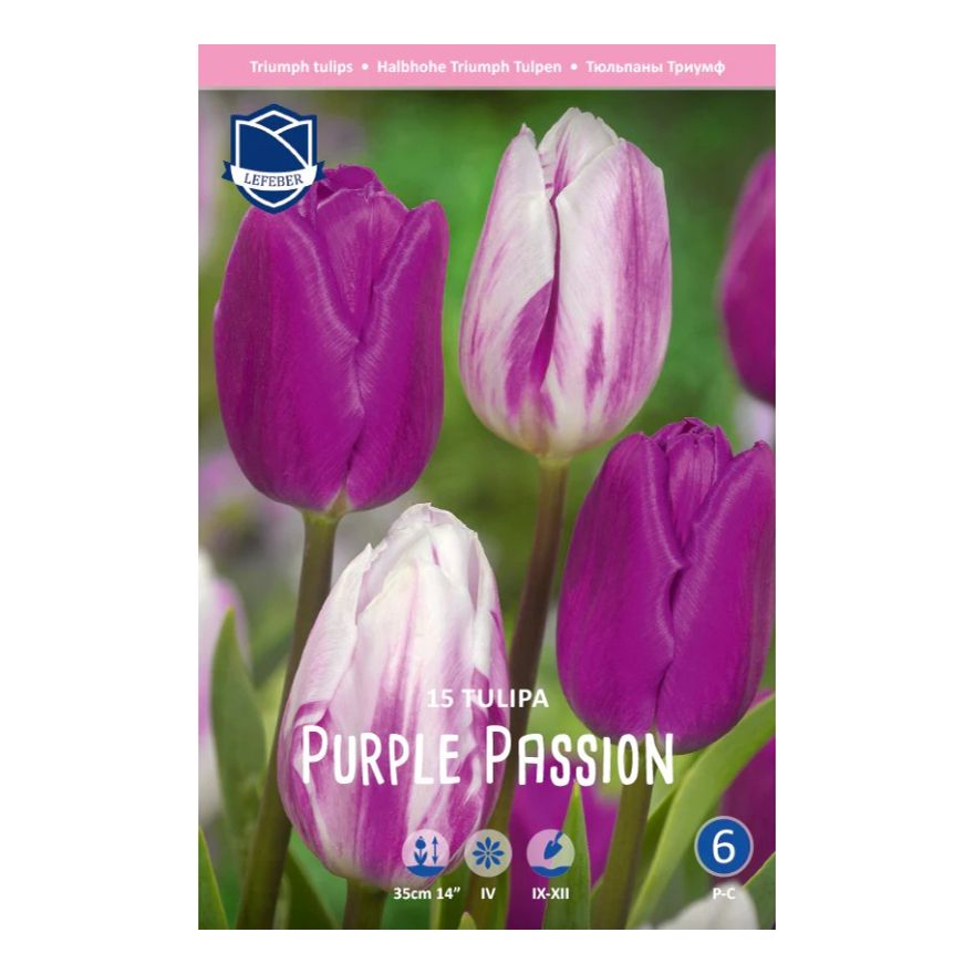 

Луковицы тюльпан Purple Lefeber 15 шт.