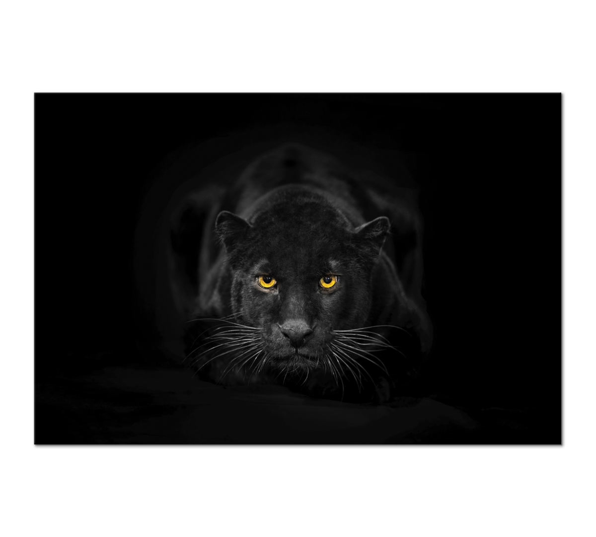 

Картина интерьерная на холсте Poly Print Art Черная пантера 90х60 см.