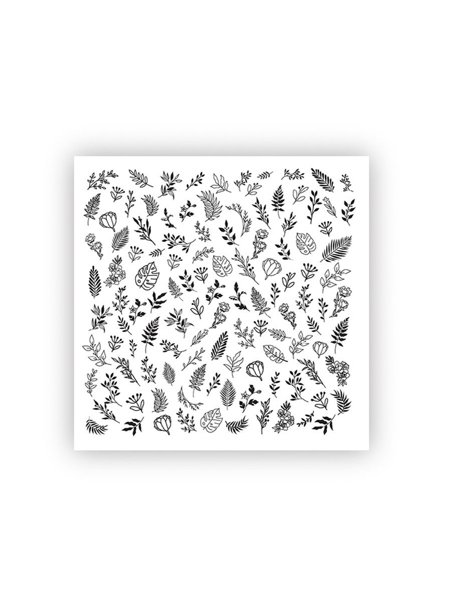 

Слайдер ONIQ Transfer, Botanist №3