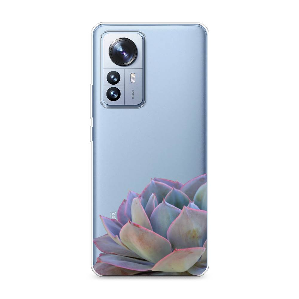 

Чехол Awog на Xiaomi 12 Pro "Молодило уголок", Разноцветный, 314450-8