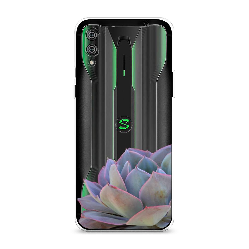 

Чехол Awog на Xiaomi Black Shark 2/2 Pro "Молодило уголок", Разноцветный, 36450-8