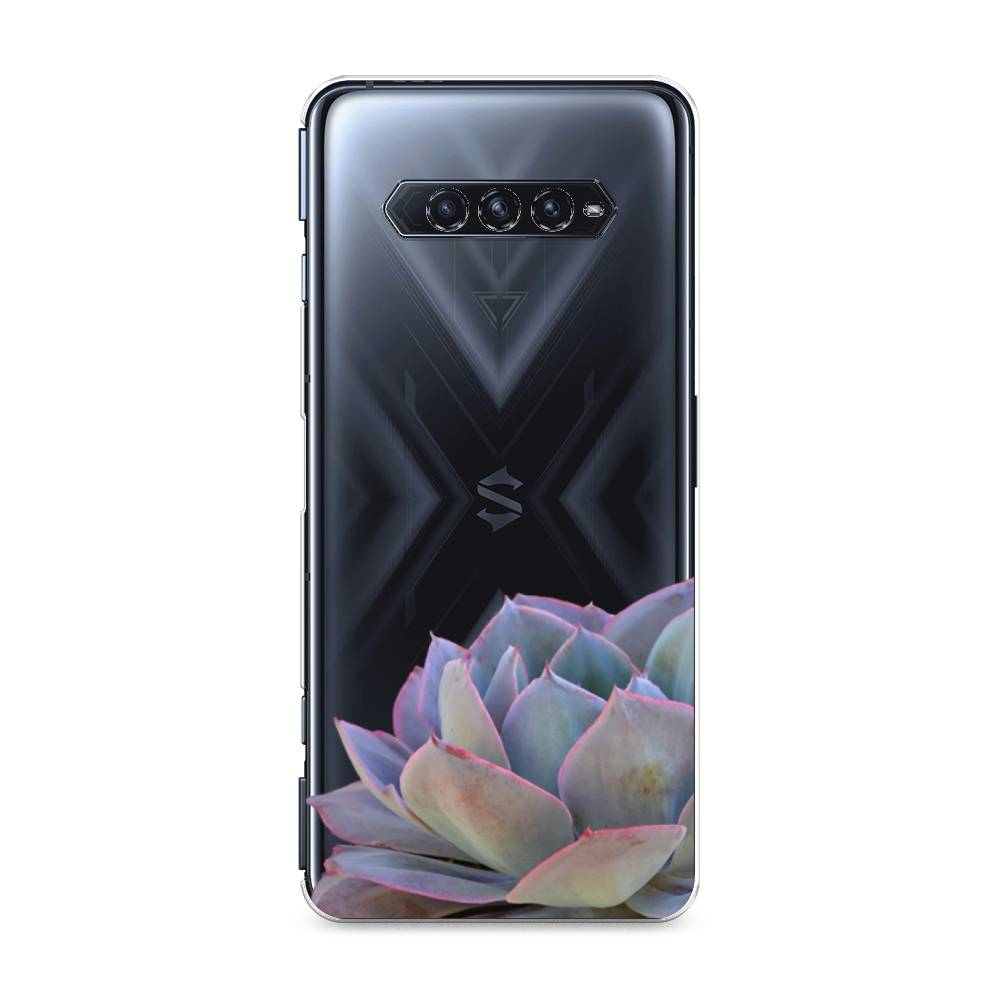 

Чехол Awog на Xiaomi Black Shark 4/4S/4S Pro/4 Pro "Молодило уголок", Разноцветный, 311150-8