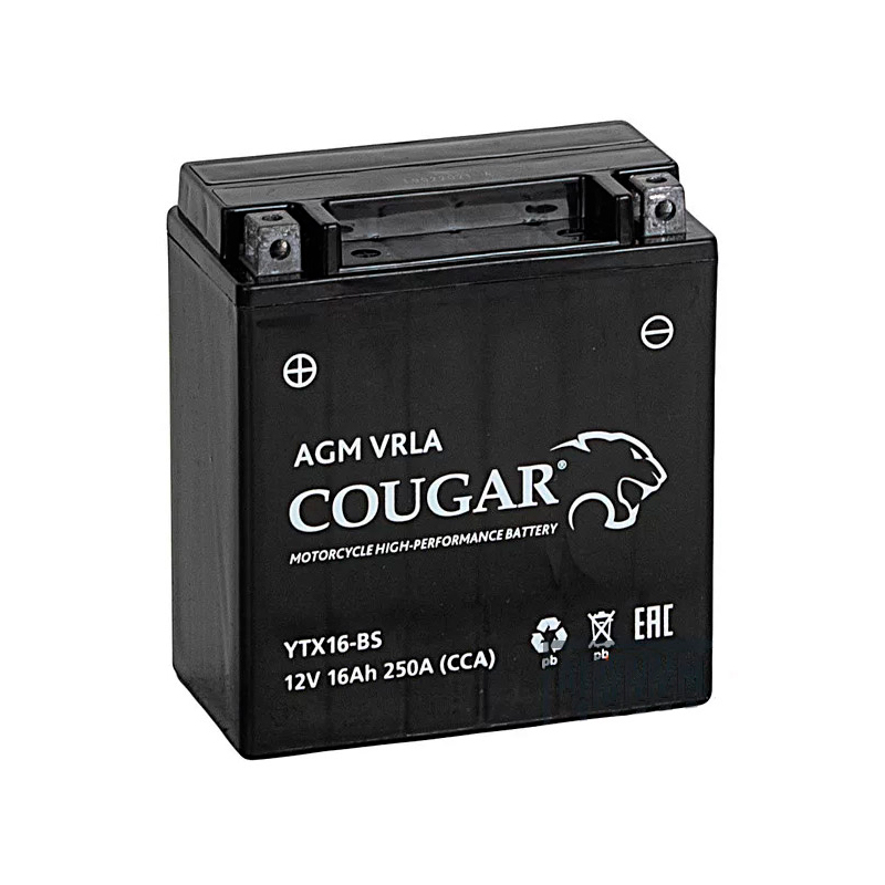 Аккумулятор мотоциклетный Cougar AGM YTX16-BS 12V 16Ah (залит и готов к применению)