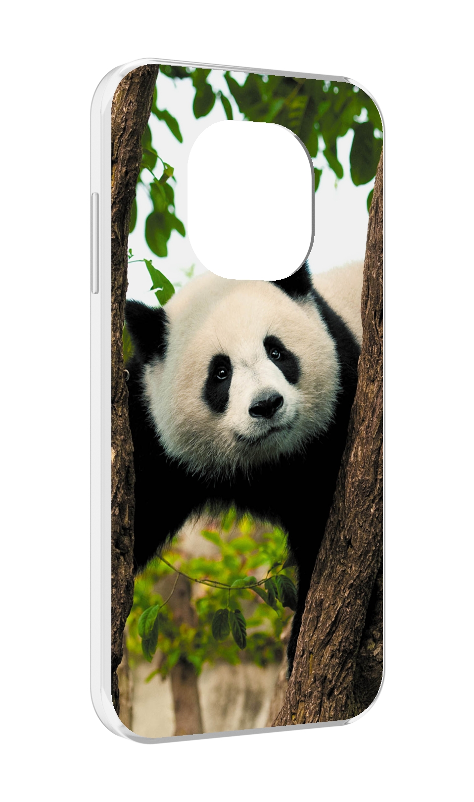 

Чехол MyPads Панда-на-дереве для Blackview BL8800 / BL8800 Pro, Прозрачный, Tocco
