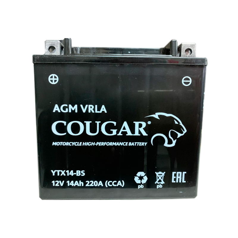 Аккумулятор мотоциклетный Cougar AGM YTX14-BS 12V 14Ah (залит и готов к применению)