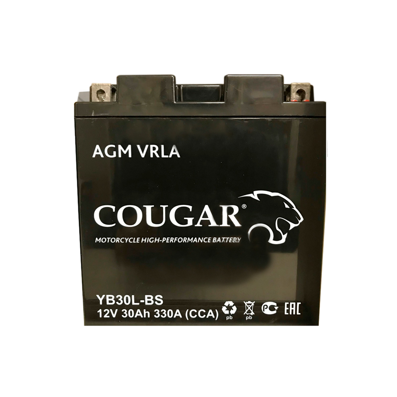 Аккумулятор мотоциклетный Cougar AGM YB30L-BS 12V 30Ah (залит и готов к применению)