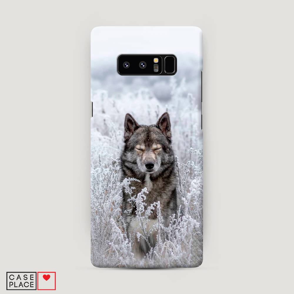 

Чехол Awog "Волк в поле" для Samsung Galaxy Note 8, 25220-1