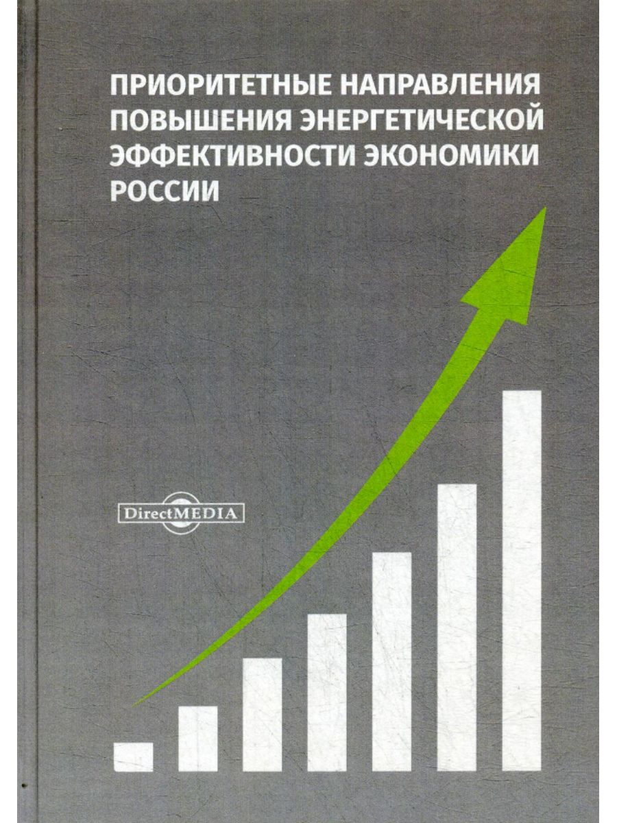 

Приоритетные направления повышения энергетической эффективности экономики России