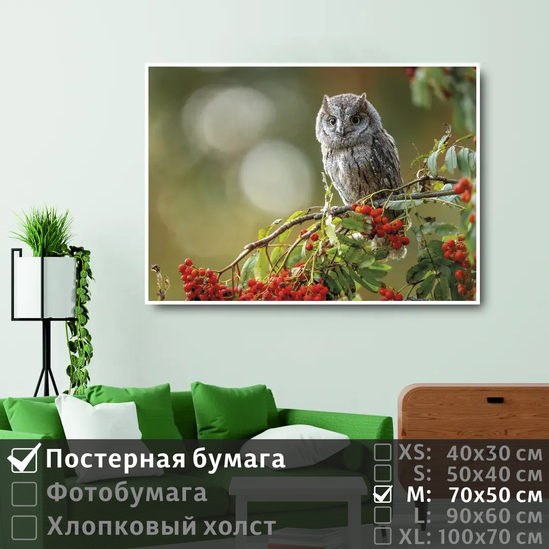 

Постер на стену ПолиЦентр Сова сидит на ветке красной рябины в лесу 70х50 см, СоваСидитНаВеткеКраснойРябиныВЛесу