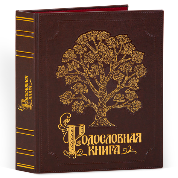 

Родословная книга Изысканная эко-кожа с золотой росписью (подар.упак) РК-052 KNP-РК-052