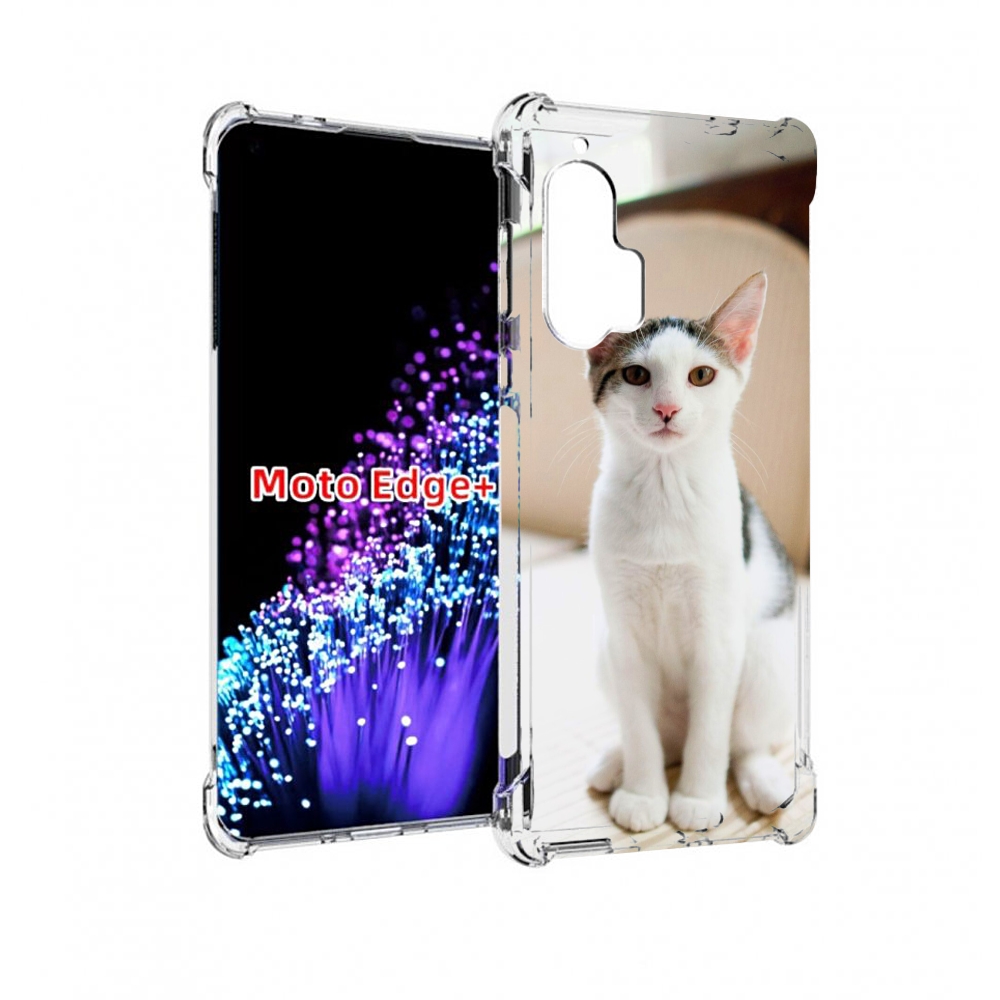 Чехол MyPads порода кошка эгеи?ская для Motorola Edge+ Plus