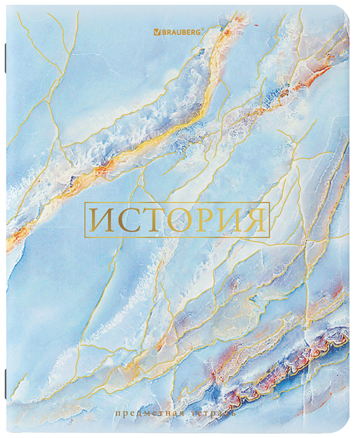 

Набор из 10 шт, Тетрадь предметная "PASTEL" 48 л., SoftTouch, фольга, ИСТОРИЯ, клетка, BRA