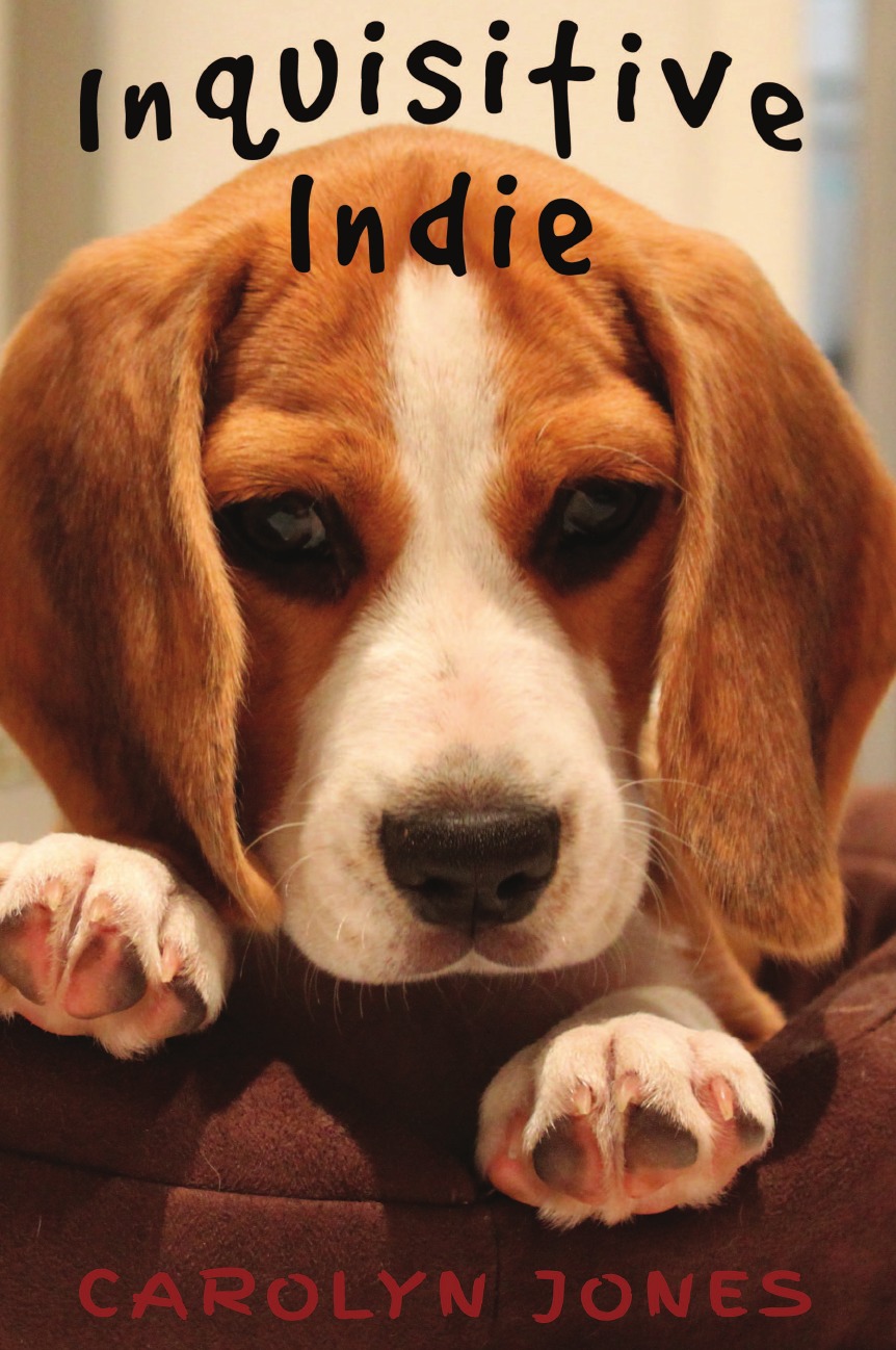 

Inquisitive Indie
