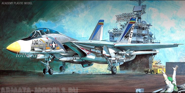 

12253 Самолт F-14A Томкэт