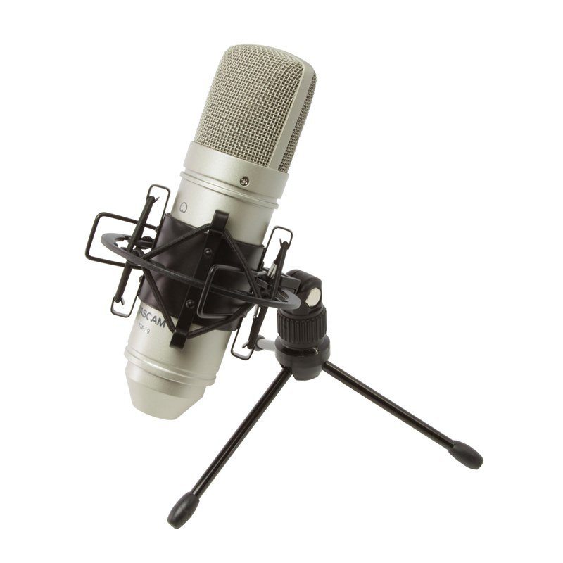 Микрофон Tascam TM-80 Silver