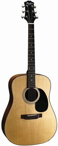 Акустическая гитара Peerless PD-50E