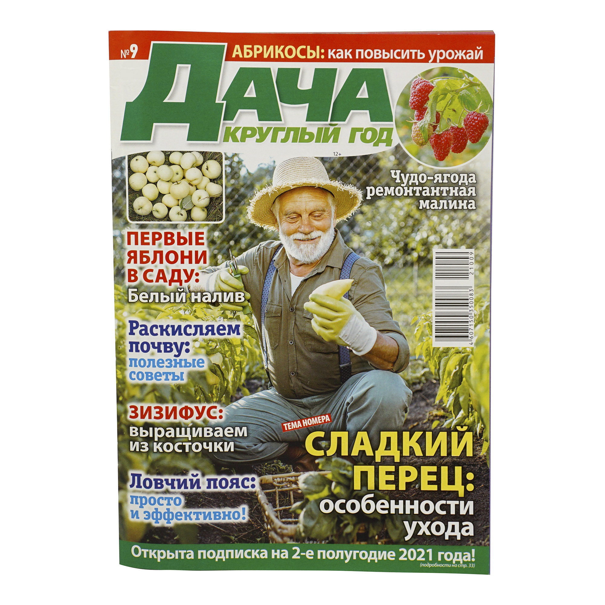 

Журнал Дача круглый год
