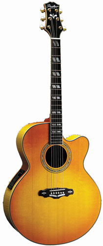 Акустическая гитара Peerless PSJ-65CE